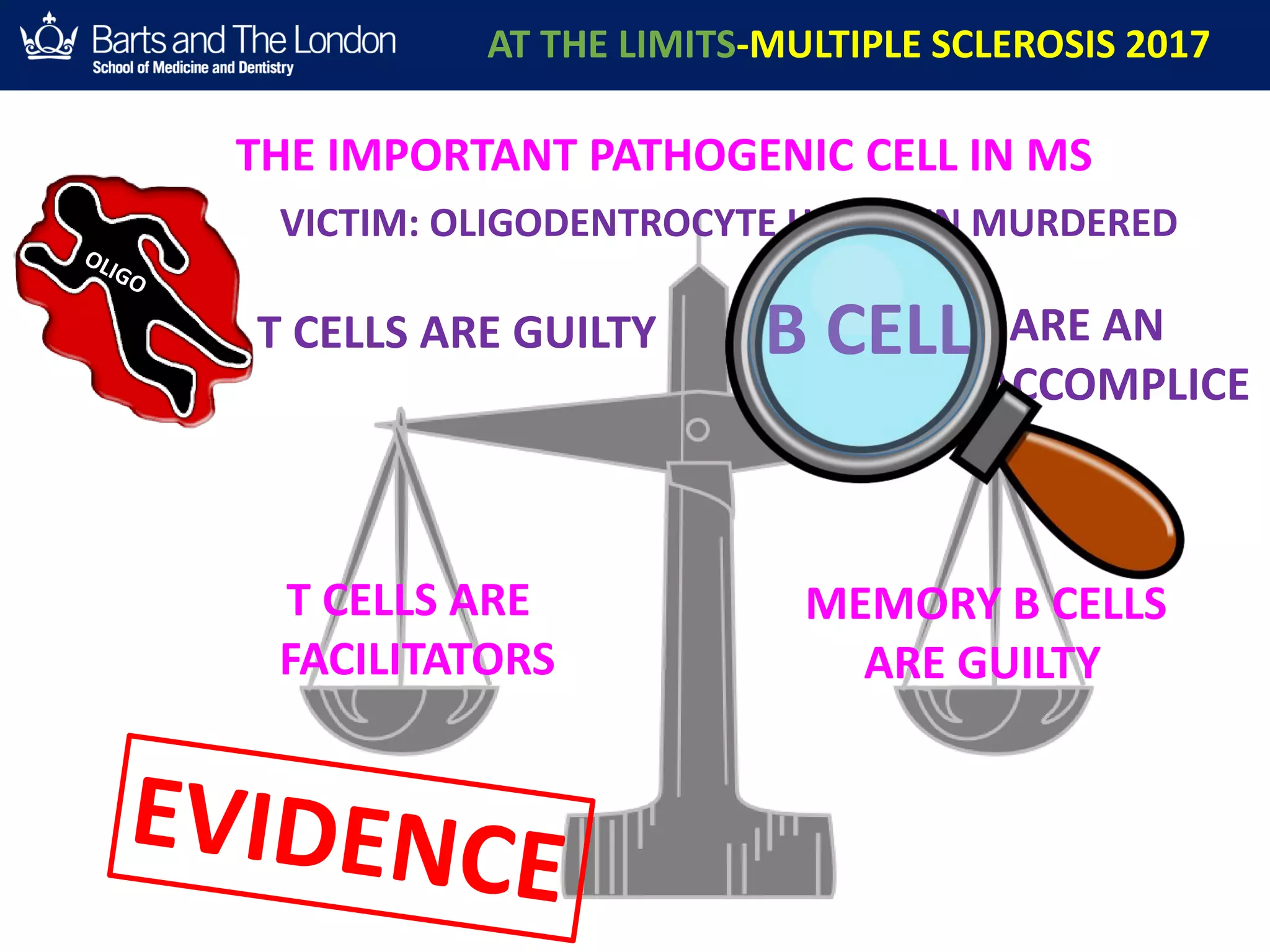 AT THE LIMITS-MULTIPLE SCLEROSIS 2017
B CELLS ARE AN
ACCOMPLICE
T CELLS ARE
FACILITATORS
THE IMPORTANT PATHOGENIC CELL IN MS
VICTIM: OLIGODENTROCYTE HAS BEEN MURDERED
B CELL
MEMORY B CELLS
ARE GUILTY
T CELLS ARE GUILTY
 