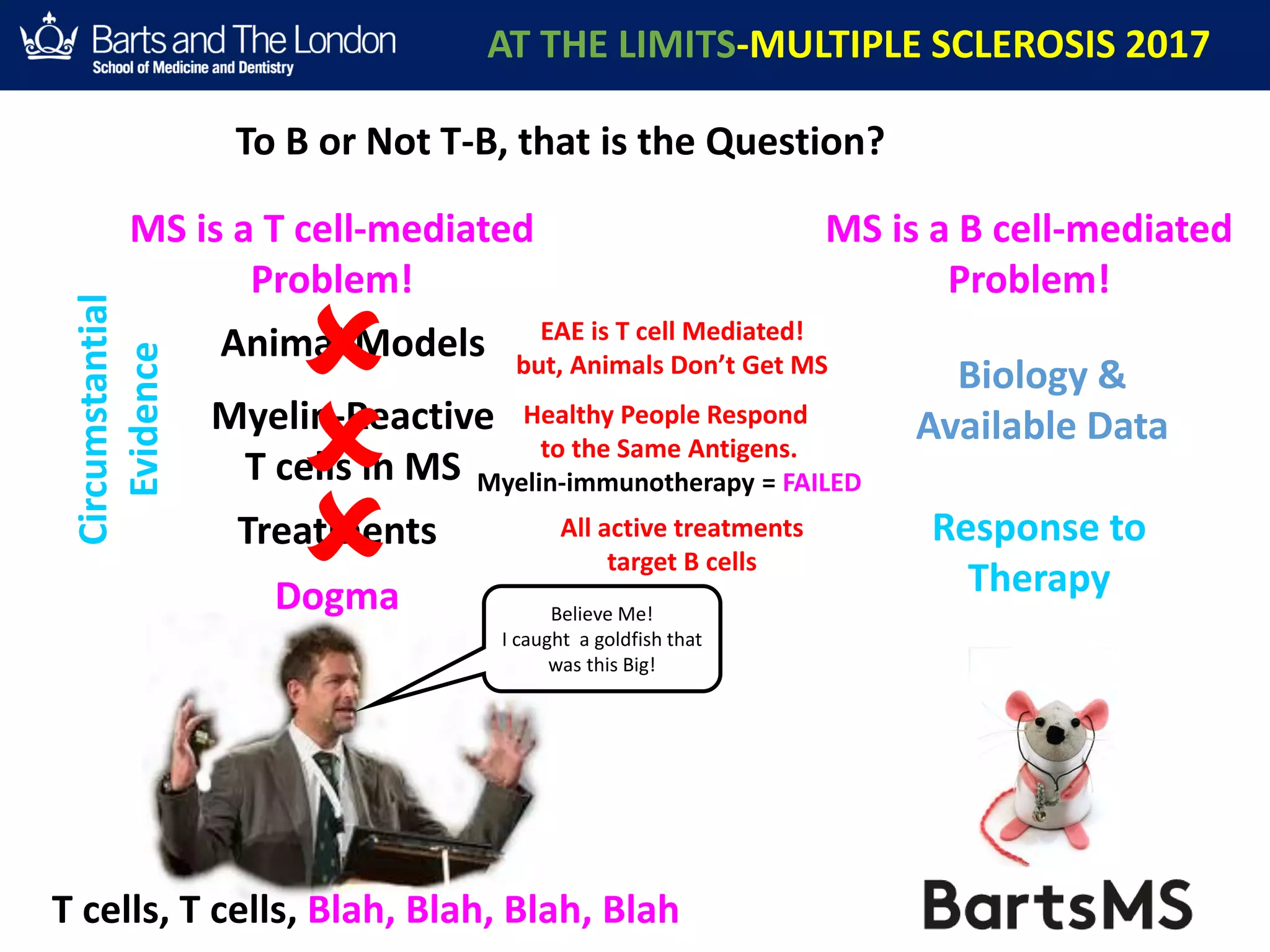MS is a T cell-mediated
Problem!
MS is a B cell-mediated
Problem!
Animal Models
Myelin-Reactive
T cells in MS
Dogma
T cells, T cells, Blah, Blah, Blah, Blah
Biology &
Available Data
Response to
Therapy
Treatments
EAE is T cell Mediated!
but, Animals Don’t Get MS
Healthy People Respond
to the Same Antigens.
Myelin-immunotherapy = FAILED
All active treatments
target B cells


Circumstantial
Evidence
 Believe Me!
I caught a goldfish that
was this Big!
AT THE LIMITS-MULTIPLE SCLEROSIS 2017
To B or Not T-B, that is the Question?
 