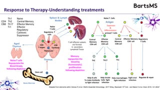 Bone Marrow
Stem cell
Th1 Naive
CD4 Th2 Central Memory
CB8 Th17 Effector Memory
Tr1 Effector
Regulatory
Cytotoxic
Suppressor
Thymocyte
CD4
T helper
Thymus
CD8
Cytotoxic
Regulatory T
cells
Spleen & Lymph
Nodes
Naïve
T Cells
Th1Th17Th2
Help B cells
To make Antibody
to fight infection
Help Innate
Cells fight
infection
Help macrophages
fight infection
Fight viral
infection
Regulate & repair
Naïve T cells
Repopulate the
Blood Slowly
following depletion
Aged
Thymus
Central
Memory
CD8 cell
Effector Memory
CD8 cell
Expansion
&
Differentiation
Effector
Memory
CD4 cell
Central
Memory
CD4 cell
Regulatory
T Cells
Antigen
Naïve T Cells
primed T Cells
Adapted from elements within Delves PJ et al Roitt’s Essential Immunology 2017 Wiley, Blackwell 13th Edn. and Baker D et al. Brain 2018; 141:28341
Memory
repopulate the
blood by
(homeostatic)
proliferation
following depletion
T cell effector subsets
are formed
in secondary
Lymphoid Tissue
Response to Therapy-Understanding treatments
 