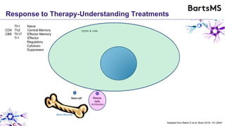 Response to Therapy-Understanding Treatments
Memory
B cell
Mature
(Naïve)
B Cell
Immature
(Transitional)
B Cell
Plasmablasts
Germinal
Centre B
Clonal
Expansion
Spleen & Lymph
Nodes
Bone Marrow
Plasma
Cells
Pre
B cell
Antibodies
Mature
(Naïve)
B Cell
Stem cell
B cell subsets are
Formed In
Bone Marrow
B cell subsets are formed
in Secondary
Lymphoid Tissue
CD19+ B Cells
Th1 Naive
CD4 Th2 Central Memory
CB8 Th17 Effector Memory
Tr1 Effector
Regulatory
Cytotoxic
Suppressor
Adapted from Baker D et al. Brain 2018; 141:28341
 