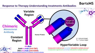 Rodent
Monoclonal
Antibody
Chimeric
Response to Therapy-Understanding treatments-Antibodies
Constant
Region
HyperVariable Loop
Target of
Antibody
Variable
Region
-XiMab
Infliximab (anti-TNF)
Rituximab (anti-CD20)
-ZuMab
Certolizumab (anti-TNF)
Ocrelizumab (anti-CD20)
-MuMab
Adalimumab (anti-TNF)
Ofatumumab (anti-CD20)
Compounds in (red) are not (currently) indicated for multiple sclerosis1
Compounds in (green) are (currently) indicated for multiple sclerosis1
Li = immune target
Tu = Tumour target
1.https://en.wikipedia.org/wiki/List_of_therapeutic_monoclonal_antibodies
Rodent ProteinHuman Protein
 