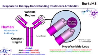 Rodent
Monoclonal
Antibody
ChimericHumanized
Response to Therapy-Understanding treatments-Antibodies
Constant
Region
HyperVariable Loop
Target of
Antibody
Variable
Region
-XiMab
Infliximab (anti-TNF)
Rituximab (anti-CD20)
-ZuMab
Certolizumab (anti-TNF)
Ocrelizumab (anti-CD20)
-MuMab
Adalimumab (anti-TNF)
Ofatumumab (anti-CD20)
Compounds in (red) are not (currently) indicated for multiple sclerosis1
Compounds in (green) are (currently) indicated for multiple sclerosis1
Li = immune target
Tu = Tumour target
1.https://en.wikipedia.org/wiki/List_of_therapeutic_monoclonal_antibodies
Rodent ProteinHuman Protein
 