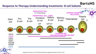 CD19
Adapted from Delves et al. 2017 Roitt’s Essential ImmunologyWiley Balckwell, Oxford 13th Edn
Response to Therapy-Understanding treatments- B cell Subsets
REGULATORY CELL
( IL-10 Secreting)
TRANSITIONAL CELL NAIVE
ANTIBODY SECRETING
CELLS (ASC)
Unswitched IgD+
Class-Switched IgD- IgM+/IgA+/IgG+
 