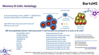 Memory B Cells: Aetiology
B Cell Activating Factor (BAFF = TNFSF13B )
Genetic Association in Sardinian MS1
High BAFF levels Associated with Enhanced
Memory B cell Levels
MS Susceptibility Genes2 with presumed T cell function are present in or acts on B cells3
HLA-DRB1*15012: Expressed by B cells
IL2RA (CD25) Expressed by memory B cells
IL7RA (CD127) Expressed by pre-B cells
TNFRSF1A Expressed by pre B cells
STAT4 Expressed by pre B cells
IL12A Expressed by Immature B cells
BCL10 Expressed by Immature B cells
CXCR5 Expressed by Memory B cells
CD40 Expressed by Memory B cells
Monocytes
Increased
Immunoglobulin
Decreased
Monocytes
Increased Memory B cells
Increased
Soluble BAFF
Y Y Y
TNFS13B mRNA
Gene expression BioGPS: (www.biogps.org)
using Primary Cell Atlas.
Adapted from concepts in Baker D et al. Ebiomedicine 2017; 16:41–50; Baker D et al. Brain 2018;141:2834–7; 1. Steri M et al. N Engl Med 2017
376;1615–26; 2.Baranzini SE, Oksenberg JR. Trends Genet. 2017; 33:960–70. 3. Madireddy et al. Nat Commun 2019:10:2236
Genome studies indicate3
233 significant gene associations
416 additional possible associations
Cell-related Gene Networks connectivity3
30% B cell exclusive
22% T cell exclusive
6% monocyte exclusive
 