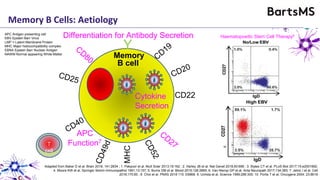 Haematopoeitic Stem Cell Therapy5Differentiation for Antibody Secretion
Cytokine
Secretion
B cell
CD22
MHC
Y
APC Antigen presenting cell
EBV Epstein Barr Virus
LMP = Latent Membrane Protein
MHC Major histocompatibility complex
EBNA Epstein Barr Nuclear Antigen
NAWM Normal appearing White Matter
Adapted from Baker D et al. Brain 2018; 141:2834 ; 1. Pakpoor et al. Mult Scler 2013;19:162 ; 2. Harley JB et al. Nat Genet 2018;50:699 ; 3. Styles CT et al. PLoS Biol 2017;15:e2001992;
4. Moore KW et al. Springer Semin Immunopathol 1991;13:157; 5. Burns DM et al. Blood 2015;126:2665; 6. Van Nierop GP et al. Acta Neuropath 2017;134:383; 7. Jelcic I et al. Cell
2018;175:85 ; 8 Choi et al. PNAS 2018 115: E6868. 9. Uchida et al. Science 1999;286:300; 10. Portis T et al. Oncogene 2004; 23:8619
6
Memory B Cells: Aetiology
Memory
APC
Function7
T
cell
 