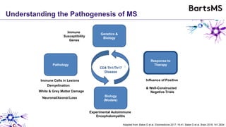 Immune-Mediated
Understanding the Pathogenesis of MS
Influence of Positive
& Well-Constructed
Negative-Trials
Genetics &
Biology
Response to
TherapyPathology
Biology
(Models)
Immune Cells in Lesions
White & Grey Matter Damage
Neuronal/Axonal Loss
Demyelination
Immune
Susceptibility
Genes
Experimental Autoimmune
Encephalomyelitis
Response to
Therapy
Adapted from: Baker D et al. Ebiomedicine 2017; 16:41; Baker D et al. Brain 2018; 141:2834
CD4 Th1/Th17
Disease
 