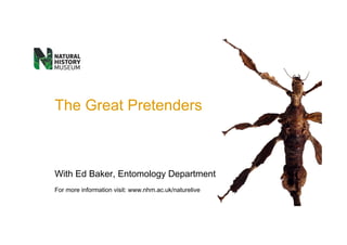 The Great Pretenders



With Ed Baker, Entomology Department
For more information visit: www.nhm.ac.uk/naturelive
 