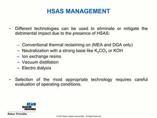 Hughes Risk Management Baker Hughes - Corrosion Management in Gas Processing Facilities.pdf