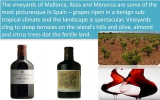 The vineyards of Mallorca, Ibiza and Menorca are some of the 
most picturesque in Spain – grapes ripen in a benign sub-tropical 
climate and the landscape is spectacular. Vineyards 
cling to steep terraces on the island's hills and olive, almond 
and citrus trees dot the fertile land. 
18 
 
