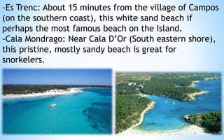 -Es Trenc: About 15 minutes from the village of Campos 
(on the southern coast), this white sand beach if 
perhaps the most famous beach on the Island. 
-Cala Mondrago: Near Cala D’Or (South eastern shore), 
this pristine, mostly sandy beach is great for 
snorkelers. 
34 
 