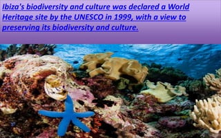 Ibiza's biodiversity and culture was declared a World 
Heritage site by the UNESCO in 1999, with a view to 
preserving its biodiversity and culture. 
46 
 