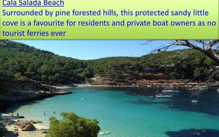 Cala Salada Beach 
Surrounded by pine forested hills, this protected sandy little 
cove is a favourite for residents and private boat owners as no 
tourist ferries ever 
61 
 