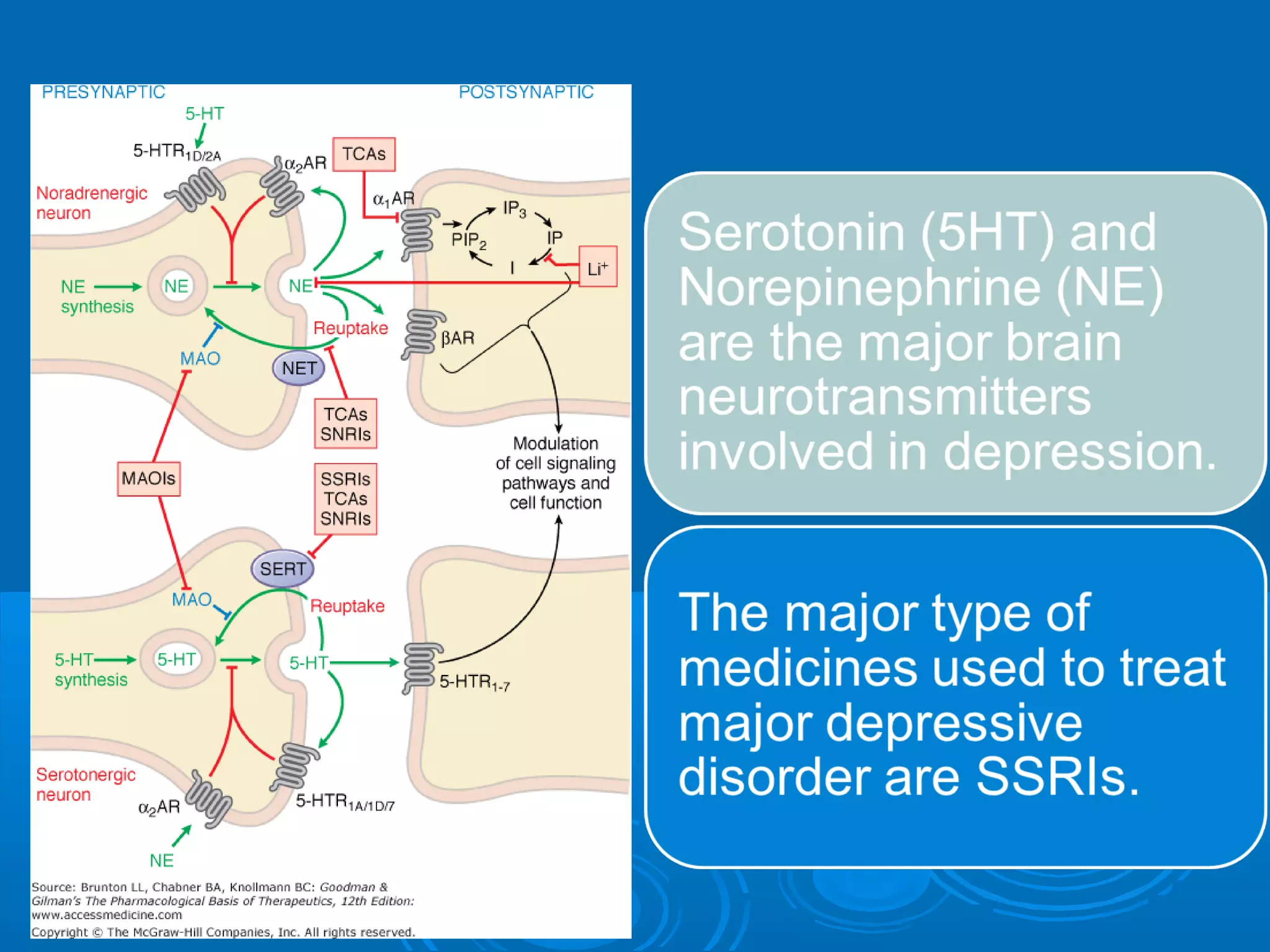 Prefrontal
                              Cortex




                     Raphe Nuclei
                     (5-HT source)


Cooper JR, Bloom FE. The Biochemical Basis of Neuropharmacology. 1996.
 