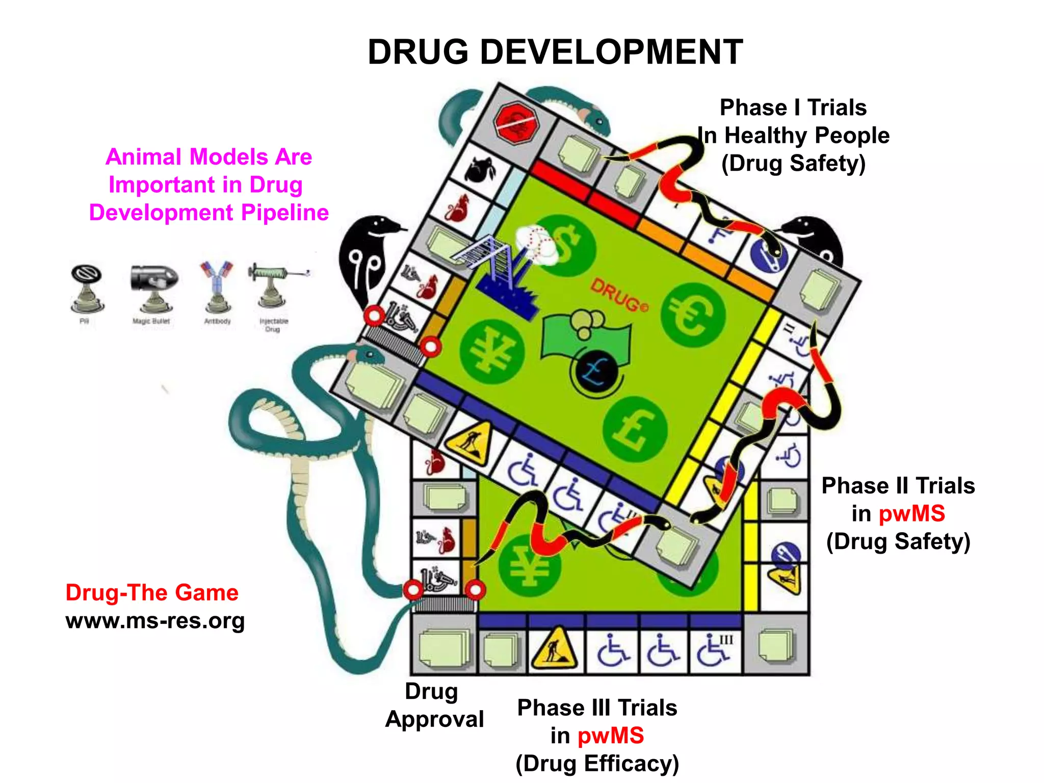 Animal Models Are
Important in Drug
Development Pipeline
Phase I Trials
In Healthy People
(Drug Safety)
Phase II Trials
in pwMS
(Drug Safety)
Phase III Trials
in pwMS
(Drug Efficacy)
Drug-The Game
www.ms-res.org
Drug
Approval
DRUG DEVELOPMENT
 