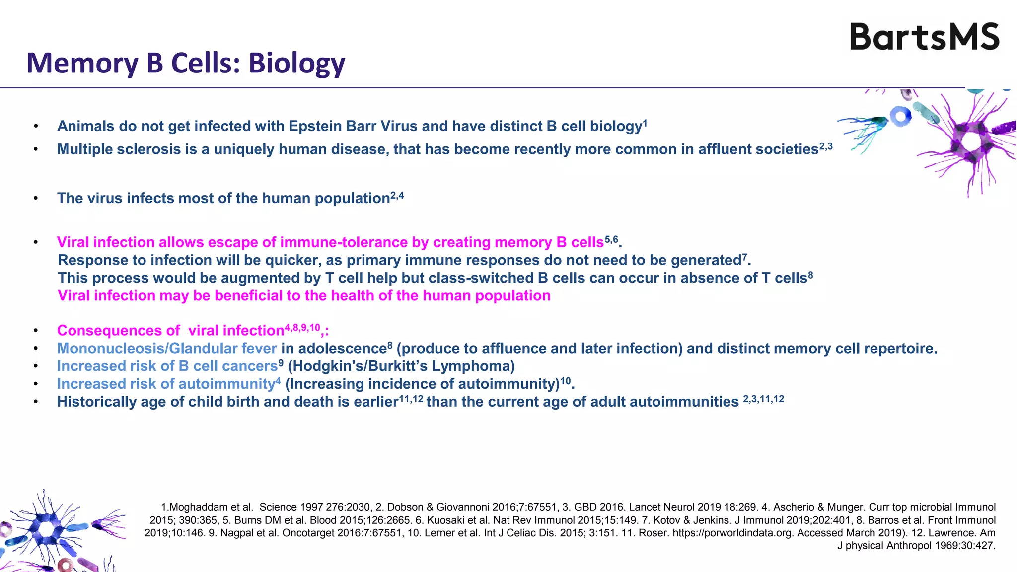 Memory B Cells: Biology
• Animals do not get infected with Epstein Barr Virus and have distinct B cell biology1
• Multiple sclerosis is a uniquely human disease, that has become recently more common in affluent societies2,3
• Viral infection allows escape of immune-tolerance by creating memory B cells5,6.
Response to infection will be quicker, as primary immune responses do not need to be generated7.
This process would be augmented by T cell help but class-switched B cells can occur in absence of T cells8
Viral infection may be beneficial to the health of the human population
• The virus infects most of the human population2,4
• Consequences of viral infection4,8,9,10,:
• Mononucleosis/Glandular fever in adolescence8 (produce to affluence and later infection) and distinct memory cell repertoire.
• Increased risk of B cell cancers9 (Hodgkin's/Burkitt’s Lymphoma)
• Increased risk of autoimmunity4 (Increasing incidence of autoimmunity)10.
• Historically age of child birth and death is earlier11,12 than the current age of adult autoimmunities 2,3,11,12
1.Moghaddam et al. Science 1997 276:2030, 2. Dobson & Giovannoni 2016;7:67551, 3. GBD 2016. Lancet Neurol 2019 18:269. 4. Ascherio & Munger. Curr top microbial Immunol
2015; 390:365, 5. Burns DM et al. Blood 2015;126:2665. 6. Kuosaki et al. Nat Rev Immunol 2015;15:149. 7. Kotov & Jenkins. J Immunol 2019;202:401, 8. Barros et al. Front Immunol
2019;10:146. 9. Nagpal et al. Oncotarget 2016:7:67551, 10. Lerner et al. Int J Celiac Dis. 2015; 3:151. 11. Roser. https://porworldindata.org. Accessed March 2019). 12. Lawrence. Am
J physical Anthropol 1969:30:427.
 