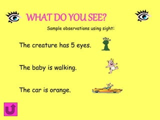 Bakers_scienceprocessskills[1].ppt