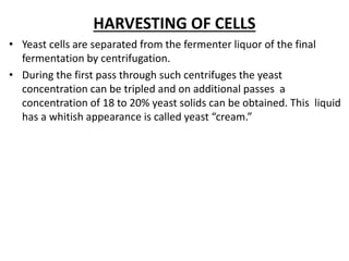 • Yeast cells are separated from the fermenter liquor of the final
fermentation by centrifugation.
• During the first pass through such centrifuges the yeast
concentration can be tripled and on additional passes a
concentration of 18 to 20% yeast solids can be obtained. This liquid
has a whitish appearance is called yeast “cream.”
HARVESTING OF CELLS
 
