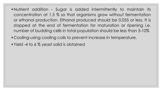 ▪Nutrient addition - Sugar is added intermittently to maintain its
concentration at 1.5 % so that organisms grow without fermentation
or ethanol production. Ethanol produced should be 0.055 or less. It is
stopped at the end of fermentation for maturation or ripening i.e.
number of budding cells in total population should be less than 5-10%
▪Cooling-using cooling coils to prevent increase in temperature.
▪Yield -4 to 6 % yeast solid is obtained
 