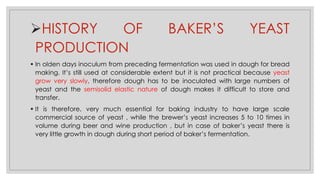 ➢HISTORY OF BAKER’S YEAST
PRODUCTION
▪ In olden days inoculum from preceding fermentation was used in dough for bread
making. It’s still used at considerable extent but it is not practical because yeast
grow very slowly, therefore dough has to be inoculated with large numbers of
yeast and the semisolid elastic nature of dough makes it difficult to store and
transfer.
▪ It is therefore, very much essential for baking industry to have large scale
commercial source of yeast , while the brewer’s yeast increases 5 to 10 times in
volume during beer and wine production , but in case of baker’s yeast there is
very little growth in dough during short period of baker’s fermentation.
 