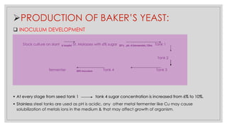 ➢PRODUCTION OF BAKER’S YEAST:
❑ INOCULUM DEVELOPMENT
Stock culture on slant A loopful St. Molasses with 6% sugar 25*c , ph. 4.5anaerobic,12hrs Tank 1
Tank 2
fermenter 20% inoculum Tank 4 Tank 3
▪ At every stage from seed tank 1 tank 4 sugar concentration is increased from 6% to 10%.
▪ Stainless steel tanks are used as pH is acidic, any other metal fermenter like Cu may cause
solubilization of metals ions in the medium & that may affect growth of organism.
 