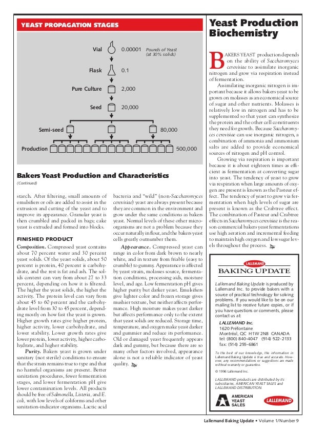 Bakers yeast production and characteristics