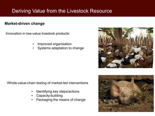 Livestock farming in developing countries: An essential resource