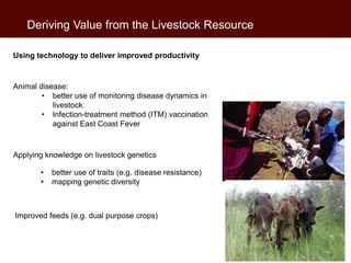 Livestock farming in developing countries: An essential resource