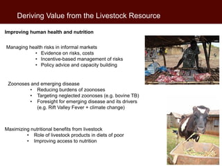 Livestock farming in developing countries: An essential resource