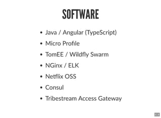 SOFTWARESOFTWARE
Java / Angular (TypeScript)
Micro Proﬁle
TomEE / Wildﬂy Swarm
NGinx / ELK
Ne lix OSS
Consul
Tribestream A...