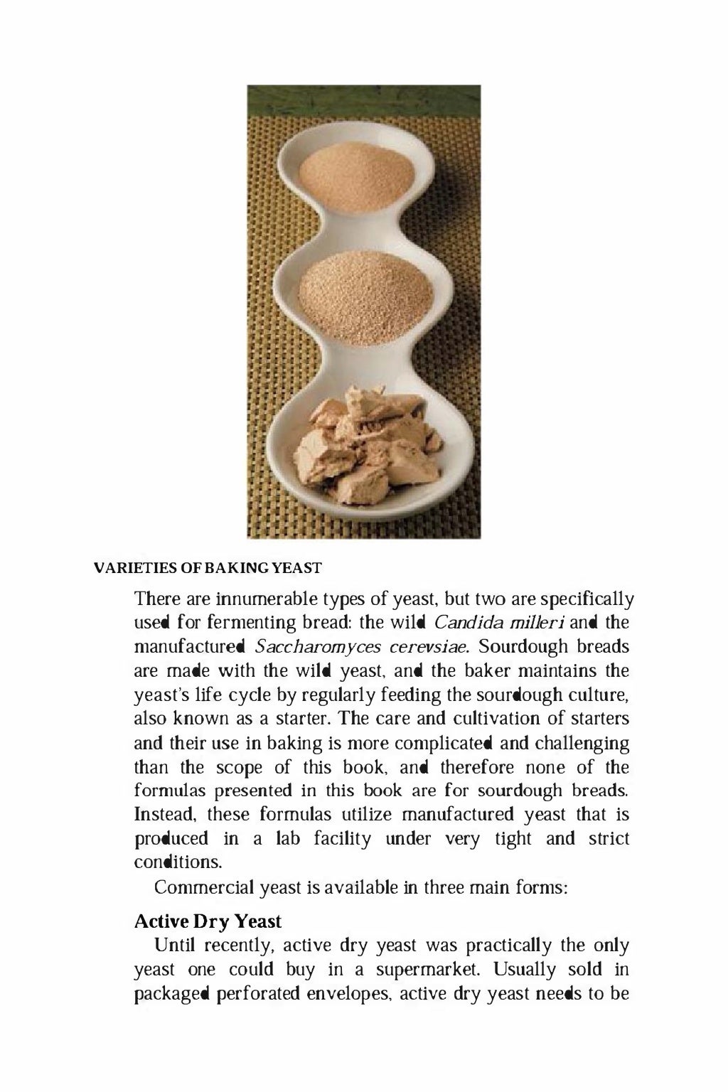 Baking artisan bread 10 expert formulas for baking better bread at