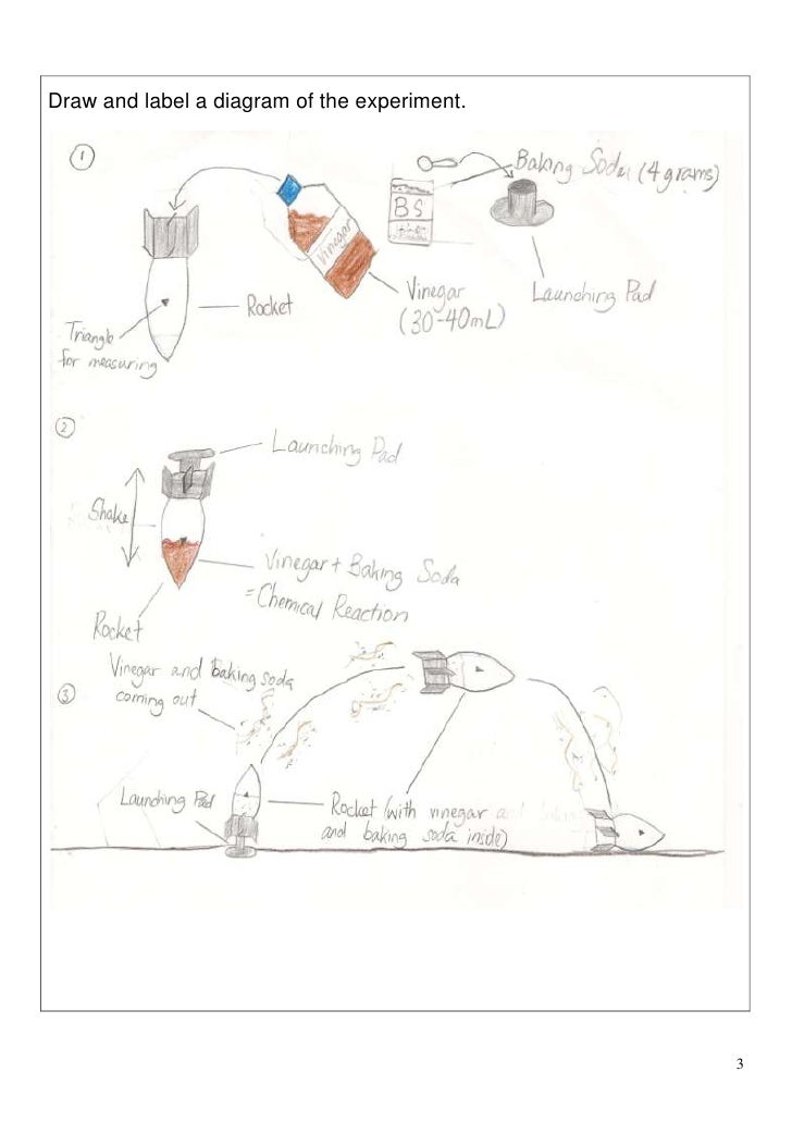 Baking Soda And Vinegar Experiment Report Baking Soda And Vinegar Experiment Report