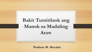 Bakit Tumitilaok ang
Manok sa Madaling
Araw
Pauliene M. Macahia
 