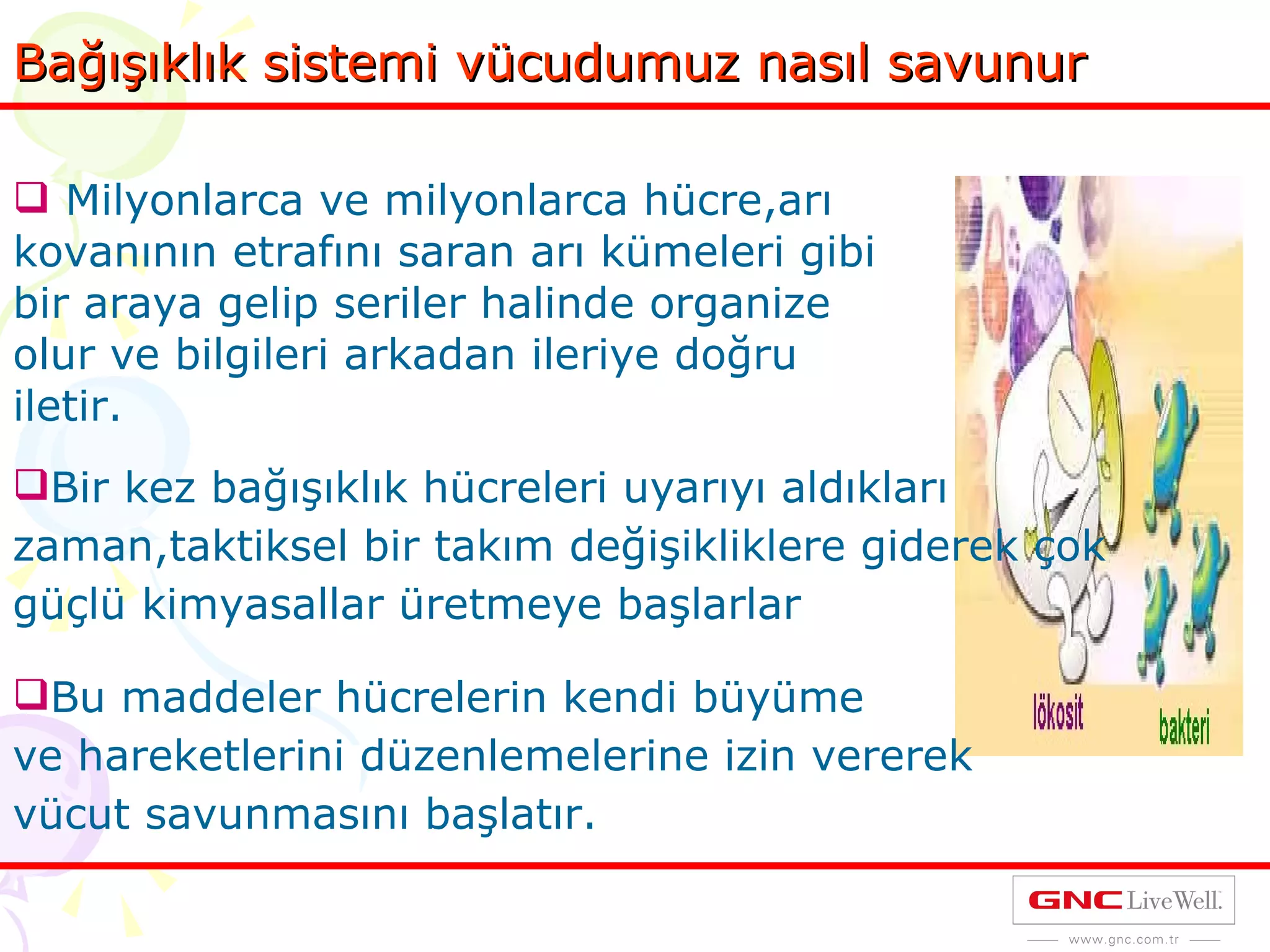 Bağışıklık sistemi vücudumuz nasıl savunur Milyonlarca ve milyonlarca hücre,arı kovanının etrafını saran arı kümeleri gibi bir araya gelip seriler halinde organize olur ve bilgileri arkadan ileriye doğru iletir.  Bir kez bağışıklık hücreleri uyarıyı aldıkları zaman,taktiksel bir takım değişikliklere giderek çok güçlü kimyasallar üretmeye başlarlar Bu maddeler hücrelerin kendi büyüme  ve hareketlerini düzenlemelerine izin vererek vücut savunmasını başlatır. 