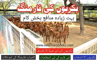 Bakrion Ki Farming Guide Book in Urdu PDF.pdf