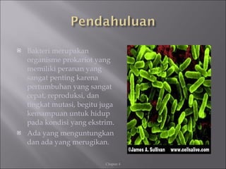 <ul><li>Bakteri merupakan organisme prokariot yang memiliki peranan yang sangat penting karena pertumbuhan yang sangat cep...