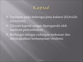 <ul><li>Terdapat pada beberapa jenis bakteri ( Klebsiella pneumonia ). </li></ul><ul><li>Ukuran kapsul sangat dipengaruhi ...