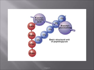 Chapter 4 