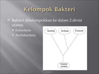 <ul><li>Bakteri dikelompokkan ke dalam 2 divisi utama: </li></ul><ul><ul><li>Eubacteria </li></ul></ul><ul><ul><li>Archeba...