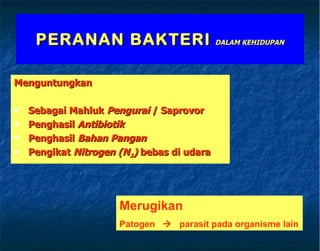 PERANAN BAKTERI   DALAM KEHIDUPAN Menguntungkan  Sebagai Mahluk  Pengurai  / Saprovor Penghasil  Antibiotik Penghasil  Bahan   Pangan Pengikat  Nitrogen (N 2 )  bebas di udara Merugikan  Patogen     parasit pada organisme lain 