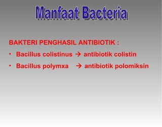 Manfaat Bacteria BAKTERI PENGHASIL ANTIBIOTIK : Bacillus colistinus   antibiotik colistin Bacillus polymxa    antibiotik polomiksin 