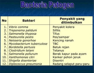 Bacteria Patogen Penyakit kolera Sifilis Tifus Pes/sampar Kencing nanah TBC Batuk rejan  Tetanus Berak kapur pada ayam Kanker pohon jeruk Disentri Radang selaput paru-paru Vibrio comma Treponema palidum  Salmonella thyposa Pasteurella pestis Neisseria gonorhoe Mycobacterium tuberculose Bordetella pertusis Clostridium tetani Salmonella pollurum Xanthomonas citri Shigella disenteriae Diplococcus pneumonia 1. 2. 3. 4. 5. 6. 7. 8. 9. 10. 11. 12. Penyakit yang ditimbulkan  Bakteri No 