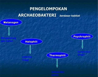 PENGELOMPOKAN  ARCHAEOBAKTERI   berdasar habitat Metanogen Halophili Thermophili Psychrophili Mengandung gas metan salinitas tinggi temperatur panas temperatur dingin 