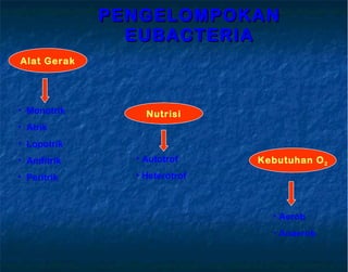 PENGELOMPOKAN EUBACTERIA Alat Gerak Nutrisi Kebutuhan O 2 Monotrik Atrik Lopotrik Amfitrik Peritrik Autotrof Heterotrof   Aerob Anaerob 