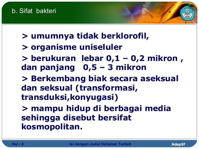 Bakteri