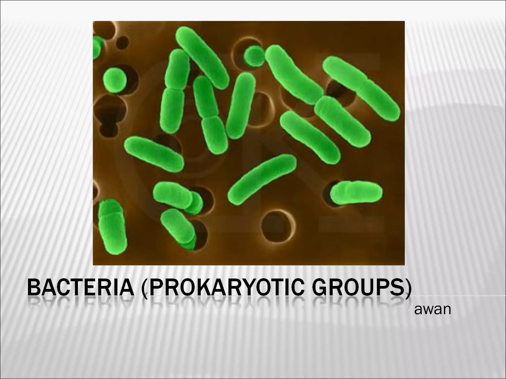 Grade 10 - Monera (Eubacteria, Archaebacteria, and Cyanobacteria) | PPT
