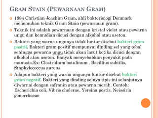 GRAM STAIN (PEWARNAAN GRAM)
 1884 Christian Joachim Gram, ahli bakteriologi Denmark
menemukan teknik Gram Stain (pewarnaan gram).
 Teknik ini adalah pewarnaan dengan kristal violet atau pewarna
ungu dan kemudian dicuci dengan alkohol atau aseton.
 Bakteri yang warna ungunya tidak luntur disebut bakteri gram
positif. Bakteri gram positif mempunyai dinding sel yang tebal
sehingga pewarna ungu tidak akan larut ketika dicuci dengan
alkohol atau aseton. Banyak menyebabkan penyakit pada
manusia.Ex: Clostridium botulinum , Bacillius subtilis,
Staphylococcus aureus
 Adapun bakteri yang warna ungunya luntur disebut bakteri
gram negatif. Bakteri yang dinding selnya tipis ini selanjutnya
diwarnai dengan safranin atau pewarna merah. Contoh:
Escherichia coli, Vibrio cholerae, Yersina pestis, Neissiria
gonorrhoeae
 