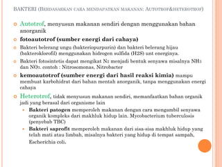BAKTERI (BERDASARKAN CARA MENDAPATKAN MAKANAN: AUTOTROF&HETEROTROF)
 Autotrof, menyusun makanan sendiri dengan menggunakan bahan
anorganik
 fotoautotrof (sumber energi dari cahaya)
 Bakteri belerang ungu (bakteriopurpurin) dan bakteri belerang hijau
(bakteroklorofil) menggunakan hidrogen sulfida (H2S) unt energinya.
 Bakteri fotosintetis dapat mengikat N2 menjadi bentuk senyawa misalnya NH3
dan NO3. contoh : Nitrosomonas, Nitrobacter
 kemoautotrof (sumber energi dari hasil reaksi kimia) mampu
membuat karbohidrat dari bahan mentah anorganik, tanpa menggunakan energi
cahaya
 Heterotrof, tidak menyusun makanan sendiri, memanfaatkan bahan organik
jadi yang berasal dari organisme lain
 Bakteri patogen memperoleh makanan dengan cara mengambil senyawa
organik kompleks dari makhluk hidup lain. Mycobacterium tuberculosis
(penyebab TBC)
 Bakteri saprofit memperoleh makanan dari sisa-sisa makhluk hidup yang
telah mati atau limbah, misalnya bakteri yang hidup di tempat sampah,
Escherichia coli.
 