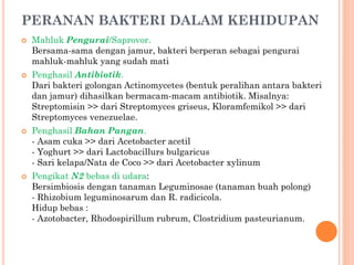 PERANAN BAKTERI DALAM KEHIDUPAN
 Mahluk Pengurai/Saprovor.
Bersama-sama dengan jamur, bakteri berperan sebagai pengurai
mahluk-mahluk yang sudah mati
 Penghasil Antibiotik.
Dari bakteri golongan Actinomycetes (bentuk peralihan antara bakteri
dan jamur) dihasilkan bermacam-macam antibiotik. Misalnya:
Streptomisin >> dari Streptomyces griseus, Kloramfemikol >> dari
Streptomyces venezuelae.
 Penghasil Bahan Pangan.
- Asam cuka >> dari Acetobacter acetil
- Yoghurt >> dari Lactobacillurs bulgaricus
- Sari kelapa/Nata de Coco >> dari Acetobacter xylinum
 Pengikat N2 bebas di udara:
Bersimbiosis dengan tanaman Leguminosae (tanaman buah polong)
- Rhizobium leguminosarum dan R. radicicola.
Hidup bebas :
- Azotobacter, Rhodospirillum rubrum, Clostridium pasteurianum.
 