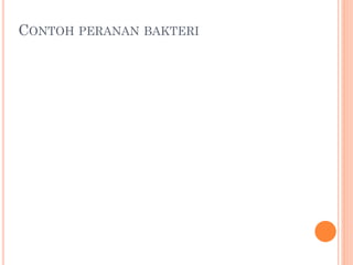 CONTOH PERANAN BAKTERI
 