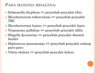 PADA MANUSIA MISALNYA:
 Salmonella thyphosa >> penyebab penyakit tifus
 Mycobacterium tuberculosis >> penyebab penyakit
TBC
 Mycobacterium leprae >> penyebab penyakit lepra
 Treponema pallidum >> penyebab penyakit sifilis
 Shigella dysentriae >> penyebab penyakit disentri
basiler
 Diplococcus pneumoniae >> penyebab penyakit radang
paru-paru
 Vibrio cholera >> penyebab penyakit kolera
 